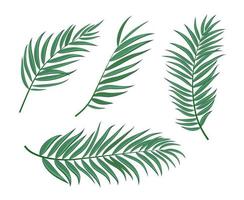 Palm Tree Leaf Silhouette Background Vector Illustration