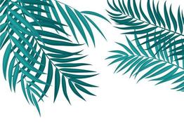 Palm Tree Leaf Silhouette Background Vector Illustration