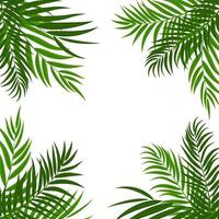 Palm Tree Leaf Silhouette Background Vector Illustration