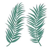 Palm Tree Leaf Silhouette Background Vector Illustration