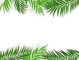 Palm Tree Leaf Silhouette Background Vector Illustration