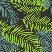 Palm Tree Leaf Silhouette Background Vector Illustrat