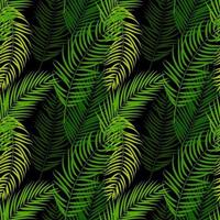 Palm Tree Leaf Silhouette Seamless Pattern Background vector