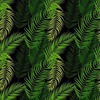 Palm Tree Leaf Silhouette Seamless Pattern Background vector