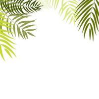 Palm Tree Leaf Silhouette Background Vector Illustrat