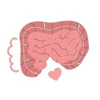 tracto intestinal humano dibujado a mano. ilustración plana. vector