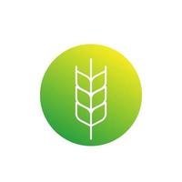 wheat icon, linear vector