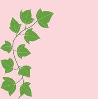 Simplicity ivy freehand drawing flat design. vector