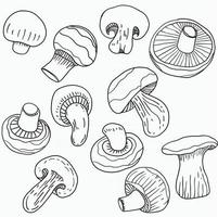 Doodle freehand sketch drawing of mushroom vegetable. vector