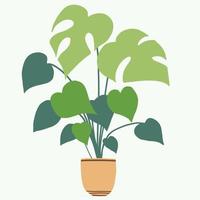 Simplicity monstera plant freehand drawing flat design. vector