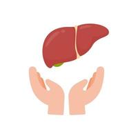 hand that supports internal organs The concept of organ donation for the treatment of patients vector