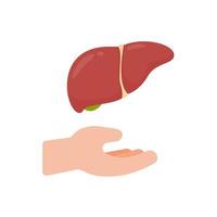 hand that supports internal organs The concept of organ donation for the treatment of patients vector