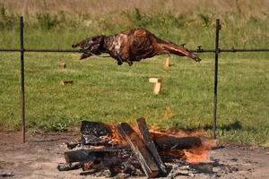 Roasting wild boar on the spit photo