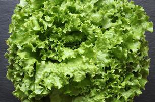 Batavia lettuce salad head photo