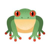 toad cute amphibian vector