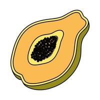 tropical papaya fruit isolated icon vector
