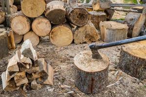 Ax in a log photo