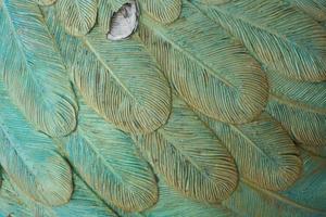 Green feather background photo