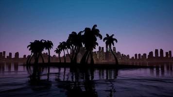 Camera movement near a tropical island on the background of a modern city with skyscrapers video