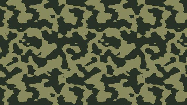 Military and army camouflage pattern background