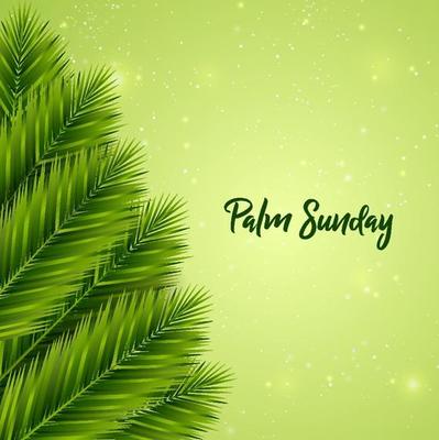 Palm sunday background