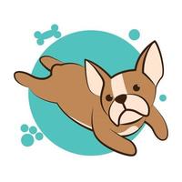 Color vector illustration cartoon on a white background of a cute French Bulldog.