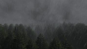 Aerial view storm rain in forest video