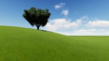 Single tree on a green grass field