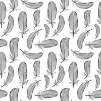 Bird Feather Hand Drawn Seamless Pattern Background Vector Illus