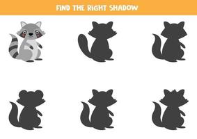 encuentra la sombra correcta de mapache. juego educativo para niños. vector