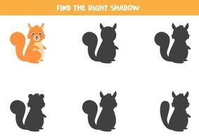 Find the correct shadow of cute cartoon squirrel. Worksheet for children. vector