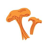 Chanterelle on a white background. Vector illustration in the doodle style