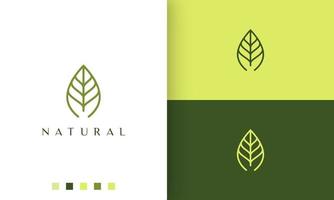 green leaf logo with simple and modern style vector