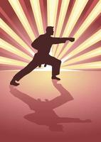 Martial artist with light burst as the background vector