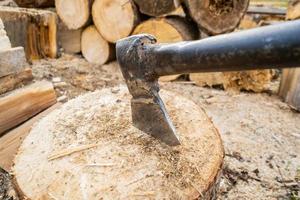 Ax in a log photo