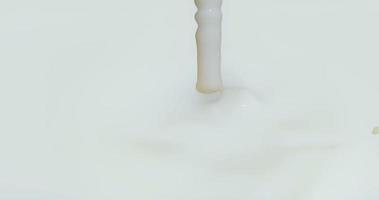 Milk splash on white background 4k