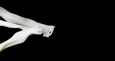 Three streams of milk colliding on a black background video