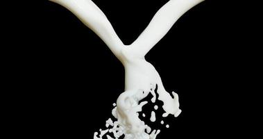spruzzata di latte su sfondo nero 4k video