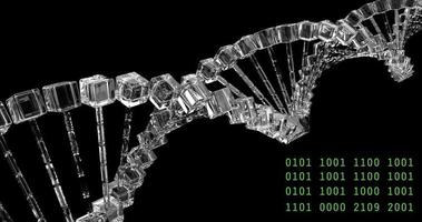 análise da estrutura do DNA, pesquisa forense, genes, doenças genéticas, ciência video