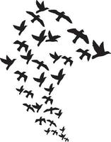 A Flock of Birds vector