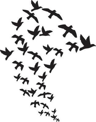 A Flock of Birds