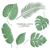 Tropical Leafs Collection