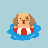 Cute Dog Swimming Summer Cartoon vector