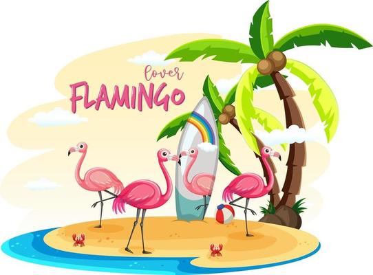 Many flamingos on the island isolated