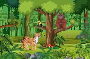 Forest scene with different wild animals vector