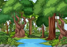 Forest scene with pond and many trees vector