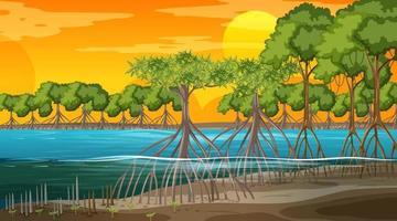 Escena del paisaje del bosque de manglares al atardecer vector