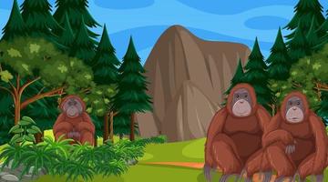 orangután en el bosque o la escena de la selva tropical con muchos árboles vector