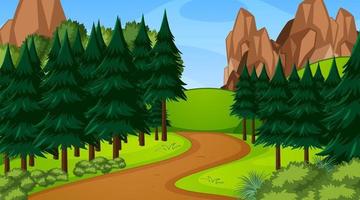 Forest scene with various forest trees and walkway lane path vector