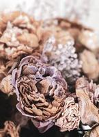 A bouquet of dried withered flowers photo